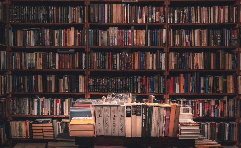 Zdjęcie do artykułu: Najciekawsze polskie powieści ostatnich lat